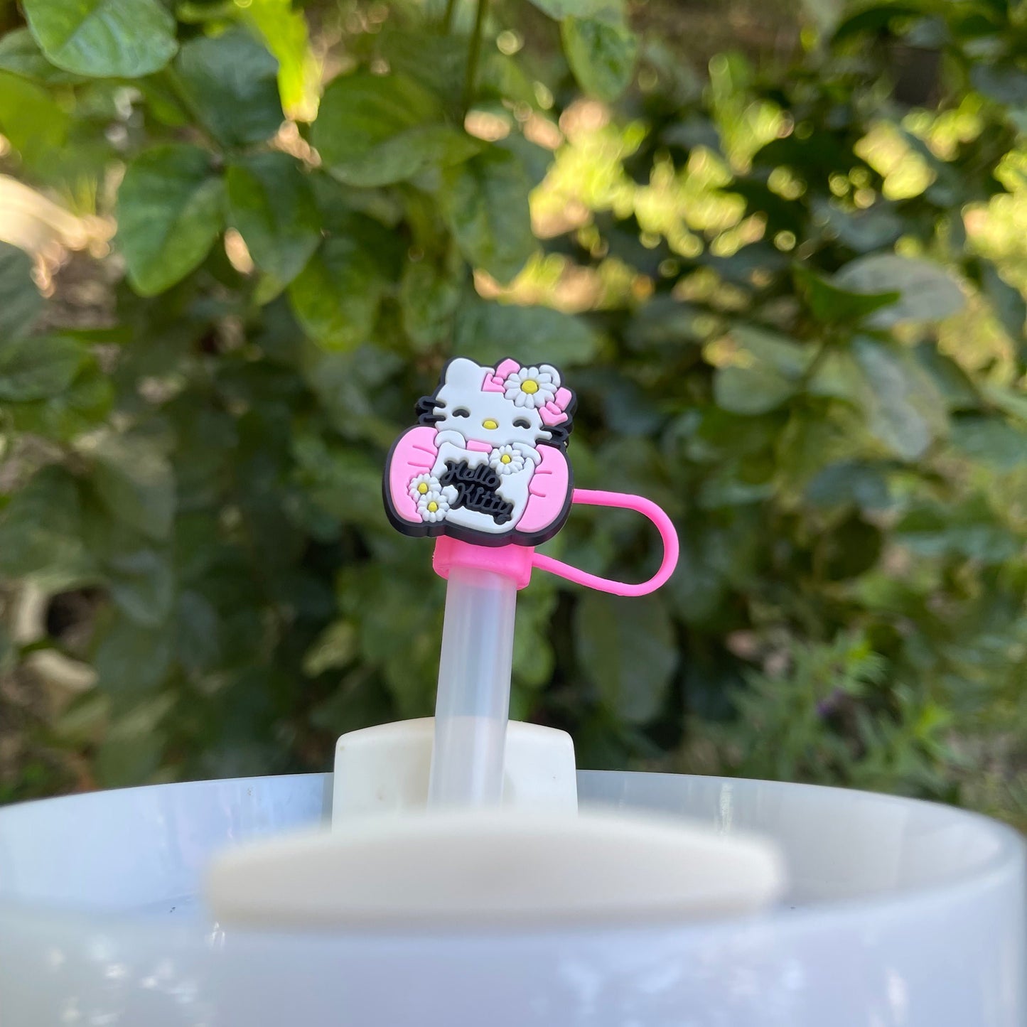 Hello Kitty Straw Cover Collection