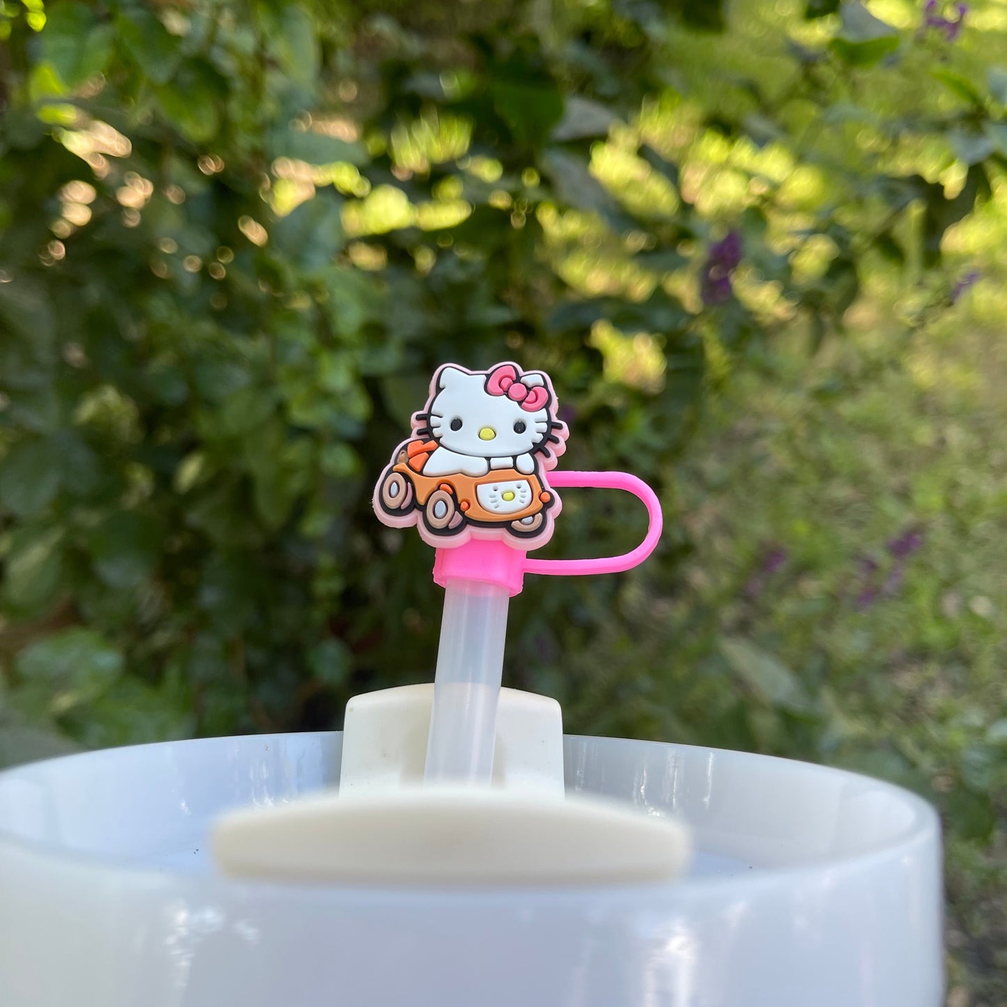 Hello Kitty Straw Cover Collection