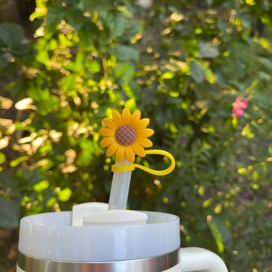 Sunflower Straw Cover