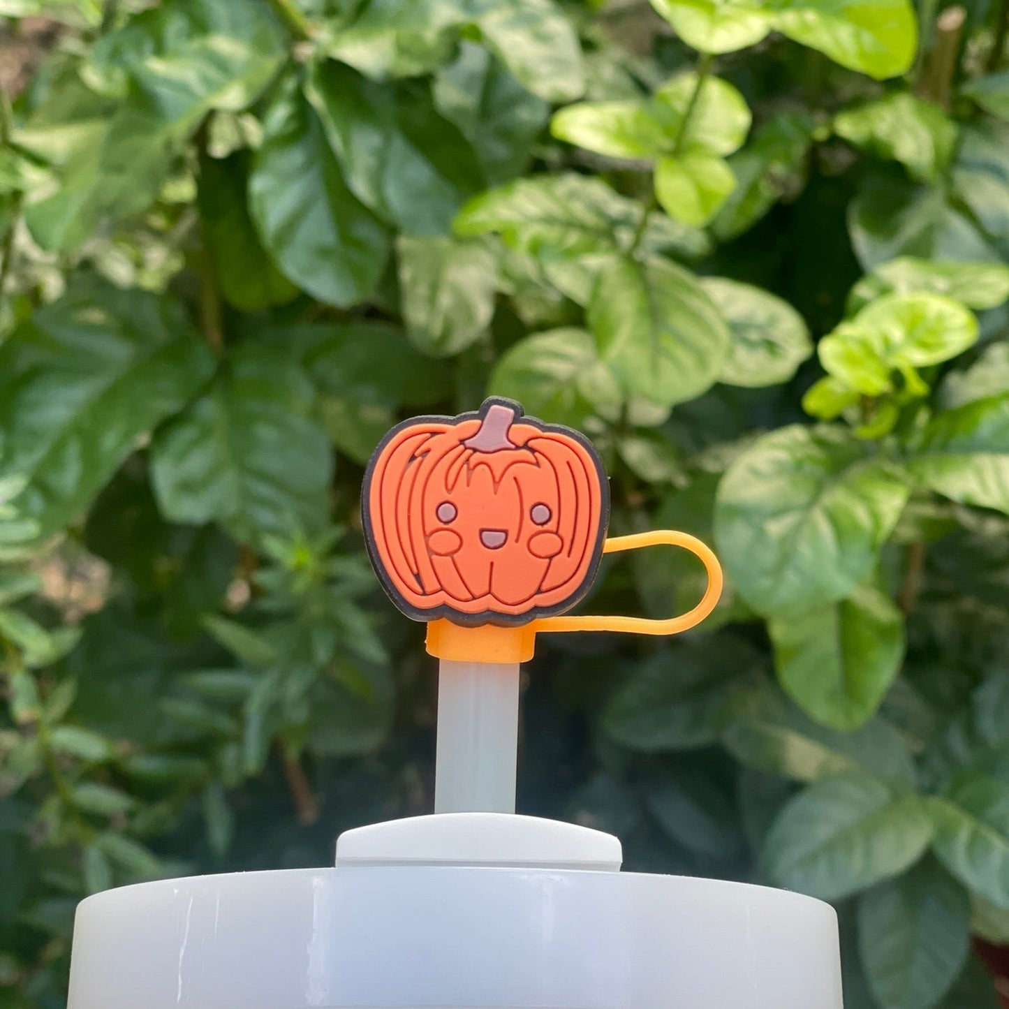 Pumpkin Head Straw Cover