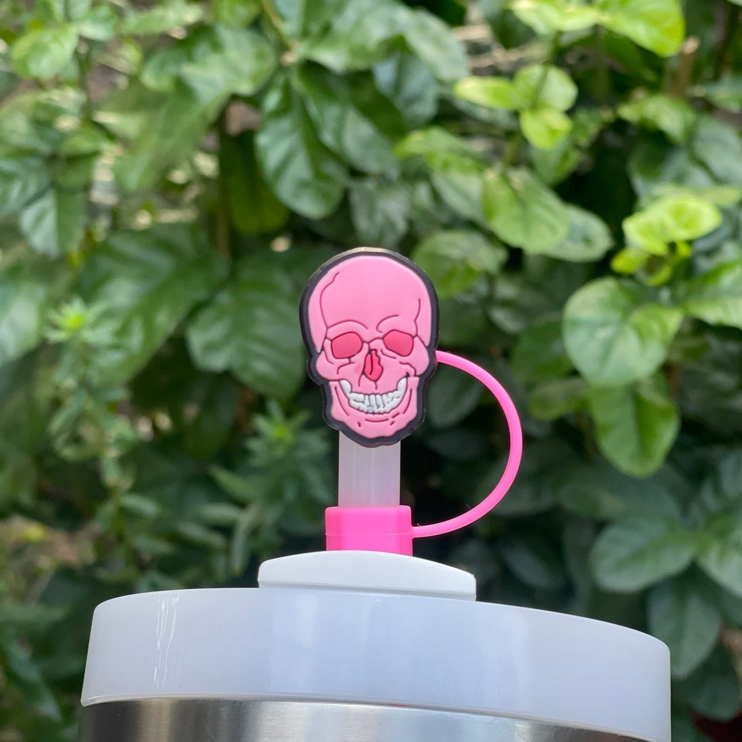 Pink Skull Straw Cover